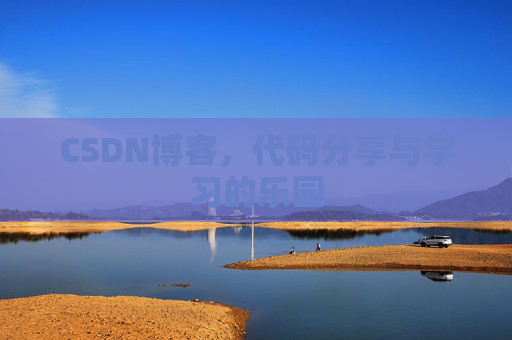 CSDN博客，代码分享与学习的乐园